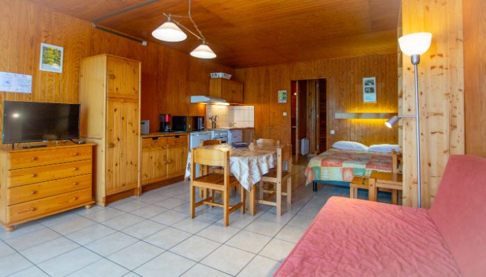 Appartement au ski Besse-et-Saint-Anastaise